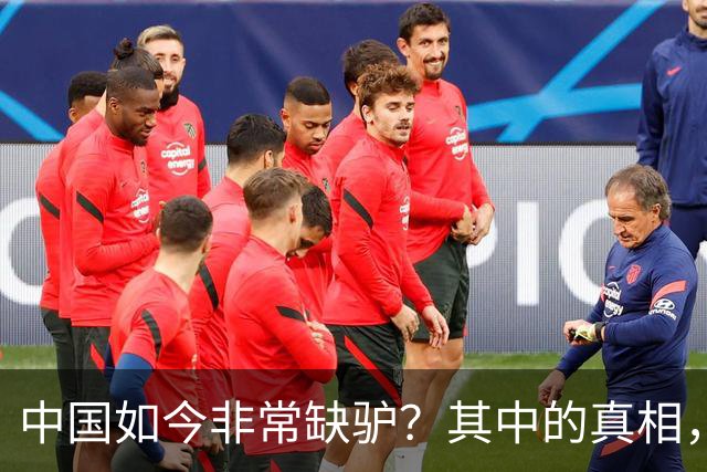 中国如今非常缺驴？其中的真相，比你想象的还要荒诞得多