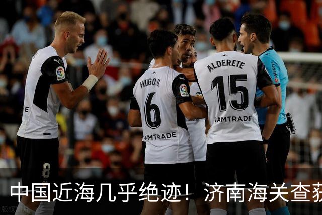 中国近海几乎绝迹！济南海关查获17只手镯，竟是由极危'国宝'制成