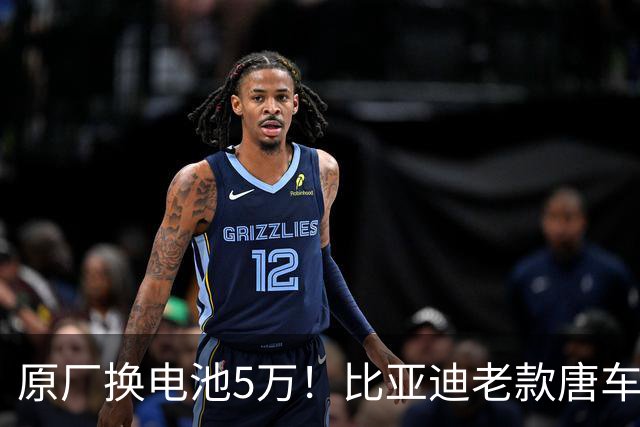 原厂换电池5万！比亚迪老款唐车主花2万多手搓大电池：续航翻倍