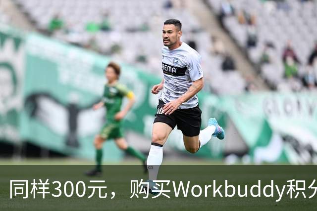 同样300元，购买Workbuddy积分还是DeepSeek官方API，实测数据