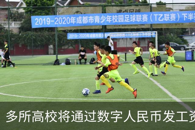 多所高校将通过数字人民币发工资