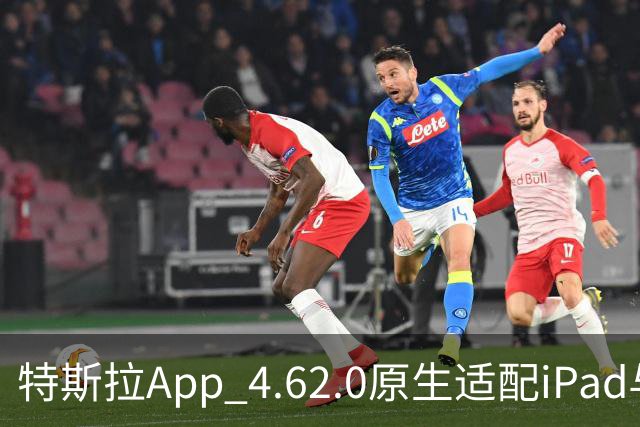 特斯拉App 4.62.0原生适配iPad与iPhone Duo