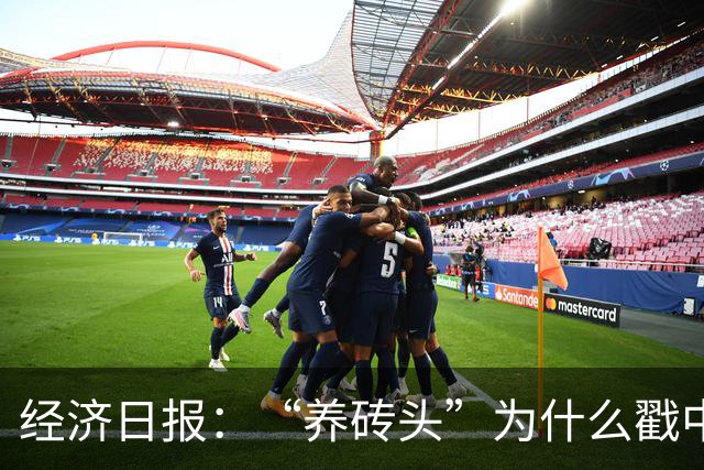 经济日报：“养砖头”为什么戳中年轻人？