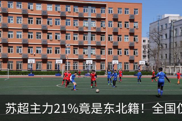 苏超主力21%竟是东北籍！全国仅11.6%，这局到底是谁选了谁？